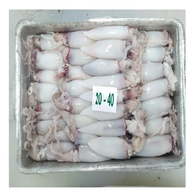 Высококачественный замороженный цельный очищенный кальмар из Индонезии со стандартной упаковкой, срок годности 24 месяца