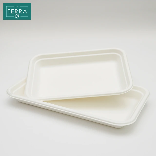 Vietnam 405*196*42.5 mm Biodegradable Packaging Food White Surgarcane Bagasse Pulp Molding 8 in clamshell