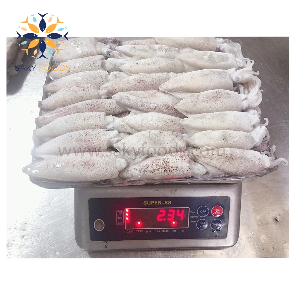 Frozen squid from Vietnam High Quality loligo squid for Exported