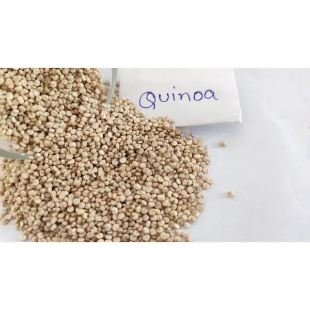  Цена экспортного качества Оптовая поставка белых сырых семян Quinoa высокий уровень