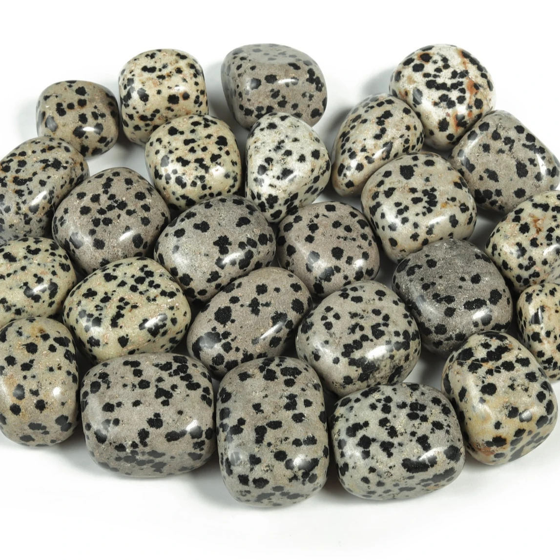 Премиум Dalmation Jasper кувыркающийся Камень Натуральный Полированный Белый Кристалл камни для декора кварцевый драгоценный камень-оптовая продажа