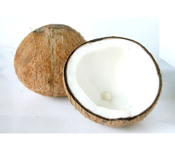 Сушеный кокос из Вьетнама тропические и суб-тропические фрукты сельскохозяйственная продукция Лучшая цена на экспорт низкий минимальный заказ лидер