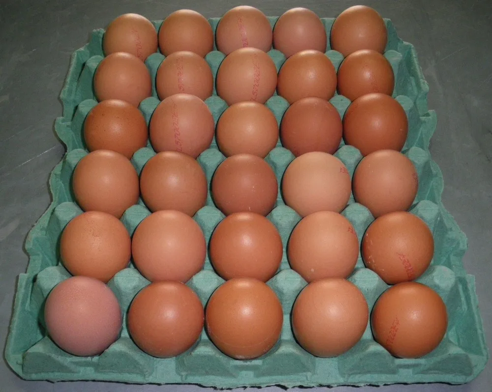 Свежие куриные яйца коричневые и белые из ракушек для