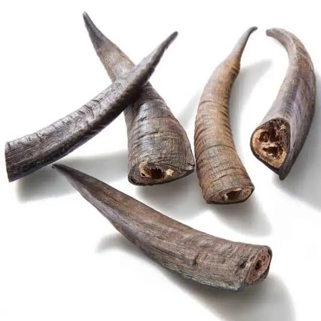 Goat horn dog chews