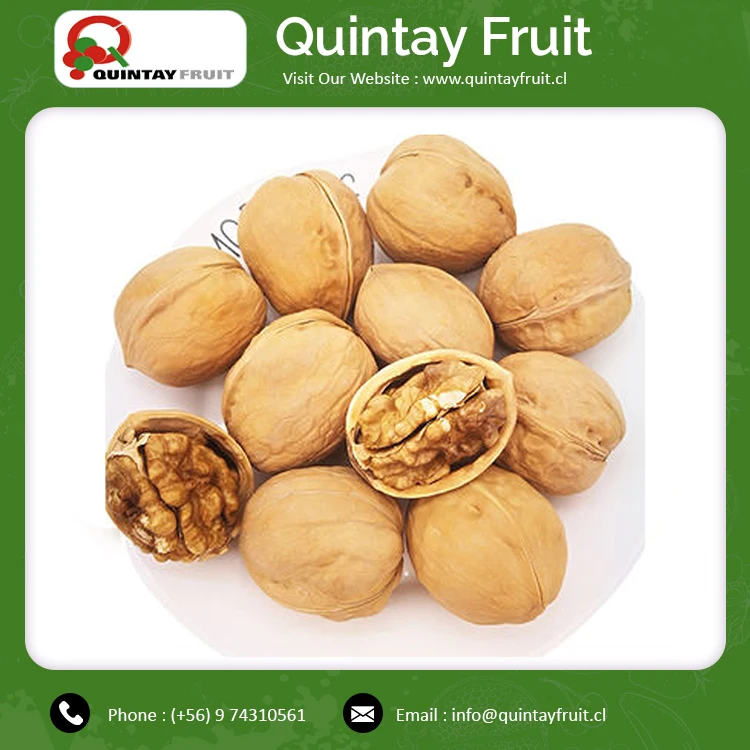 
Walnut Kernels Factory Price Bulk Packing Raw Bulk Supply Walnuts Chandler Inshel Walnuts 