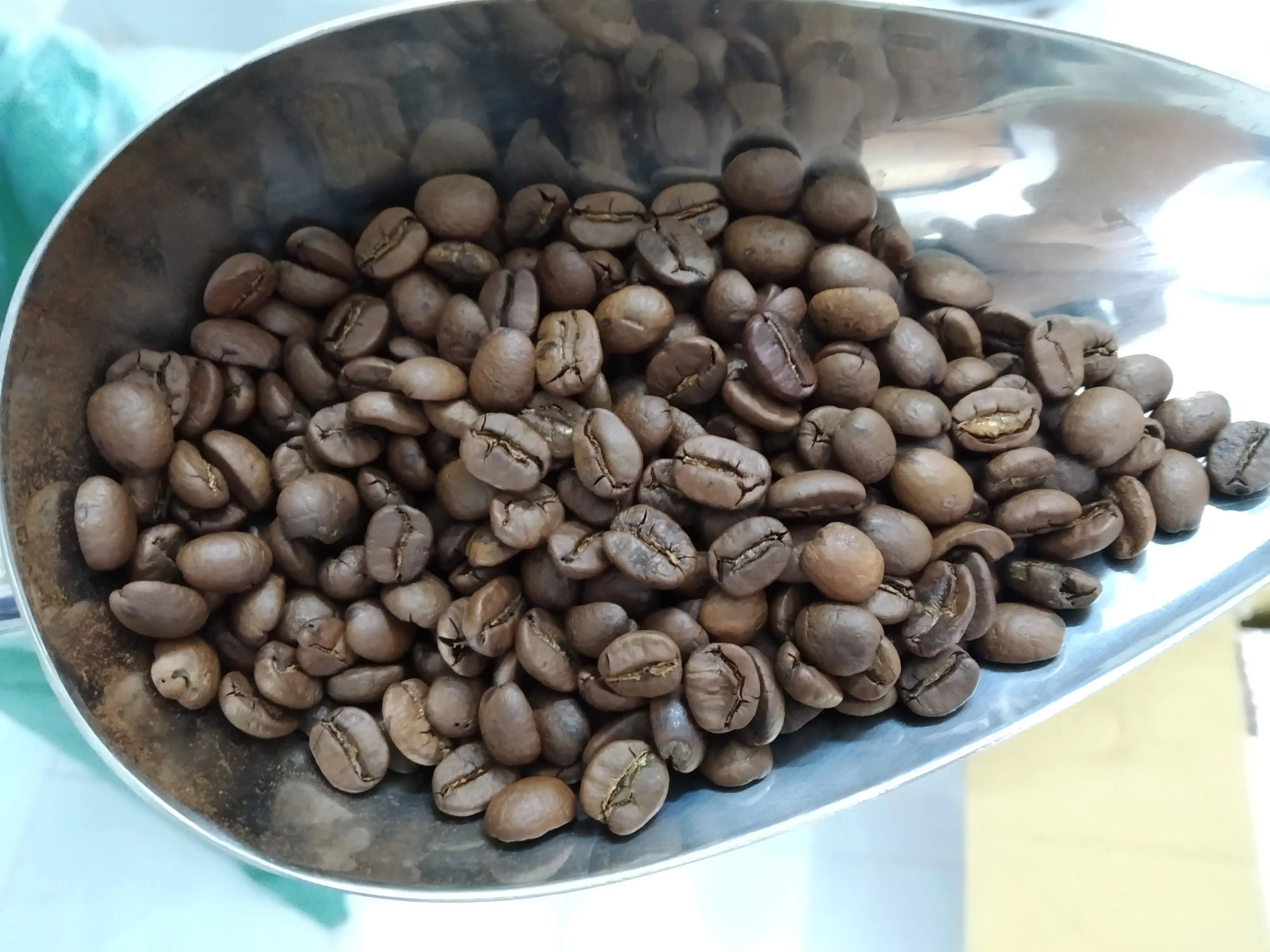 
Coffee Luwak, Vietnam Arabica Robusta exporter for Senegal, Korea 