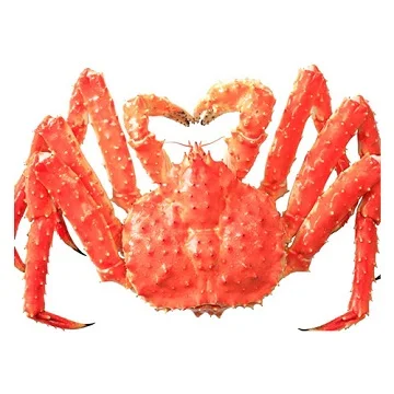 Wild Caught Frozen Alaskan King Crab Legs / Boiled King Crab Legs/ Frozen Blue Swimming Crabs For Sale