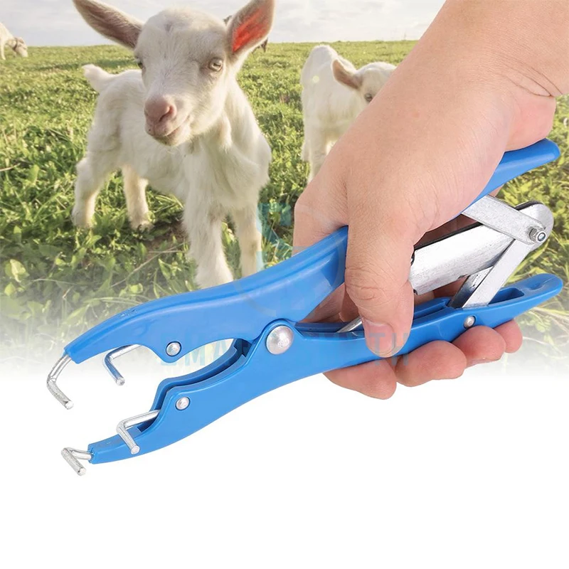 Top Design Castration Of Cattle And Sheep Farm Animals Pork Cattle Sheep Tail Docking