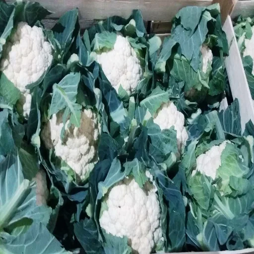 fresh cauliflower from Thailand farm supply all the year round