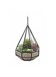 Elegant Decorative Design Wholesale Planted Diamond Hanging Terrarium Glass Globe Hanging Terrarium Handicraft