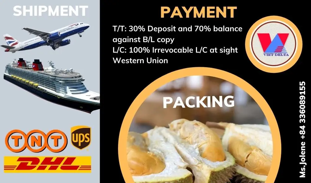 Свежий/свежий дуриан лучшего качества из Вьетнама // Jolene + 84 336089155