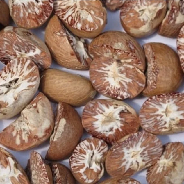 BETEL NUT Sale New Crop 2022 Thailand Betel Nuts,Dried Betel Nut,Betel Nuts