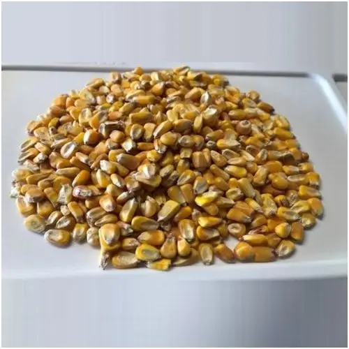 
 Кукуруза без ГМО США, 2 кукурузы, поврежденные керналы, 5,0 сломанная кукуруза и посторонний материал 3,0  