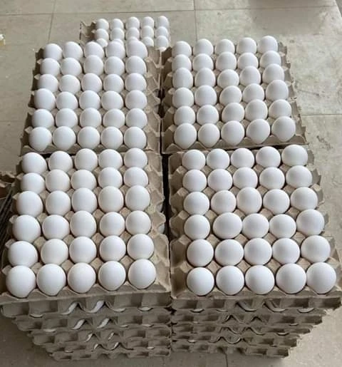 High Quality Table Eggs,Fresh Table Eggs Brown And White For Sale - Buy Table Chicken Eggs