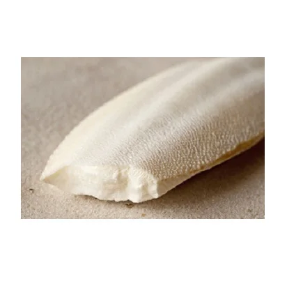 Cuttlefish Bone For Animal Feed/Cuttlefish Bone from VietNam (WS: 0084987731263)