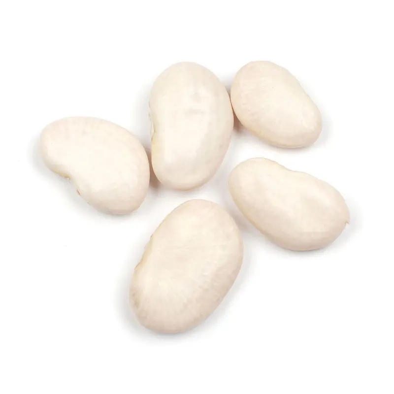 
Lima beans FROM THAILAND 