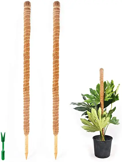 Hot Sale coco coir plant Pole Sticks for Creepers Plant Support Extension Climbing Indoor Plants