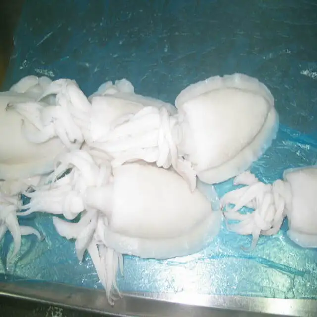 
VIET NAM FROZEN WHOLE CLEANED CUTTLEFISH ISO/HACCP 