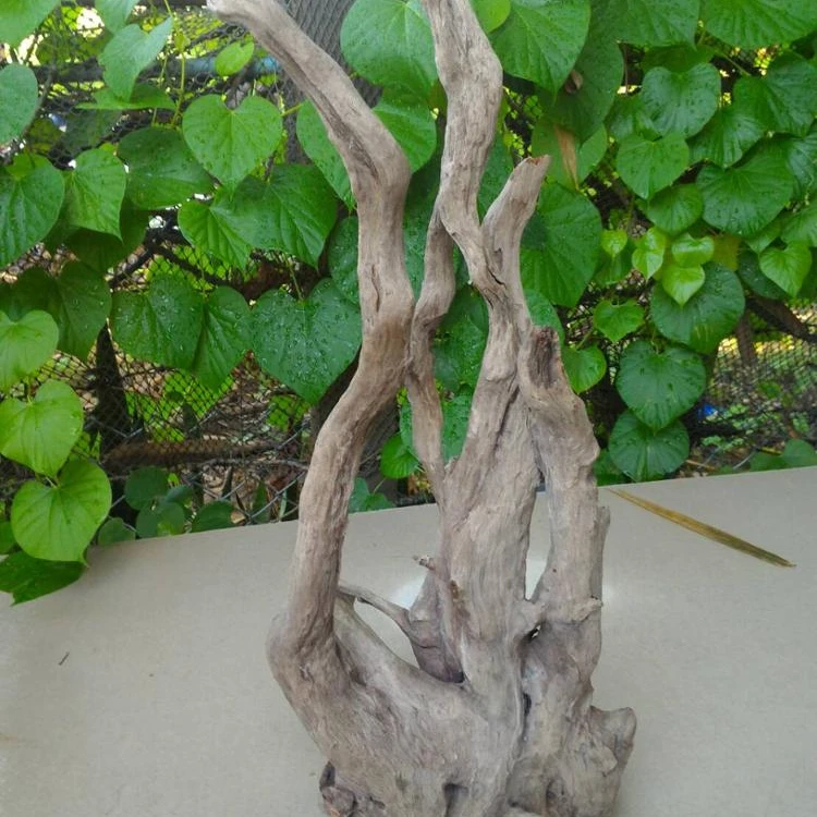 Aquarium Decoration Natural Tree Roots