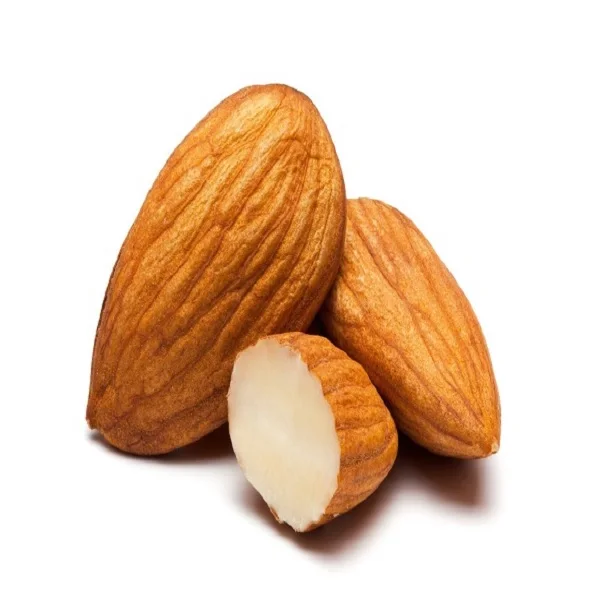 
Wholesale Bitter Apricot Kernels Bitter Almond Nuts For Sale 
