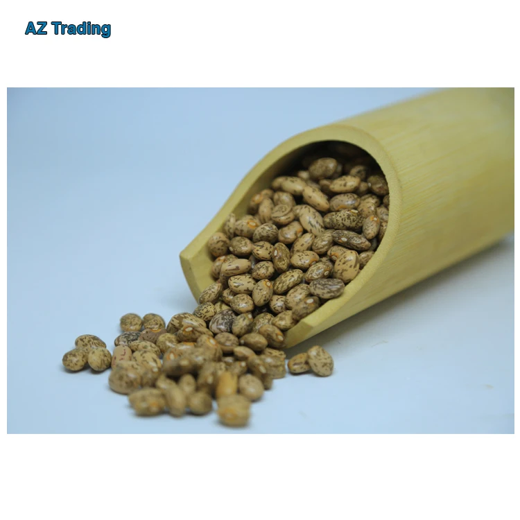 Best Selling Fresh 2 Year Shelf Life Wholesale Natural Hand Picked Pinto Beans at Least Price