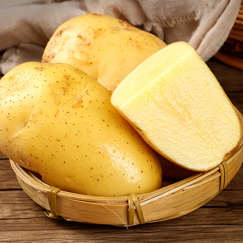 Ирландский белый картофель оптом по хорошей цене из