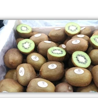 Hayward Kiwi origin Greece all sizes available