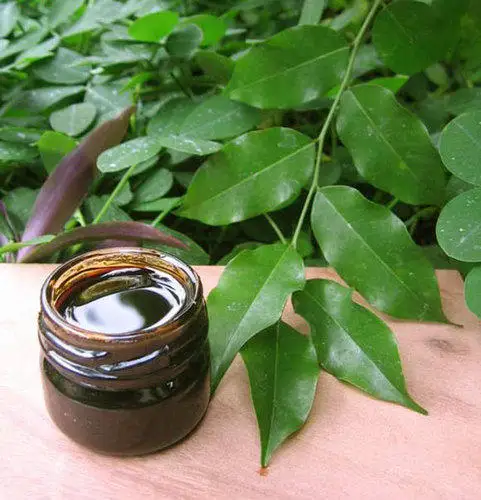 Pure & Natural Balsam Peru Oil Manufacturer Peru Balsam Organic Essential Oil With Skin and Body care Property