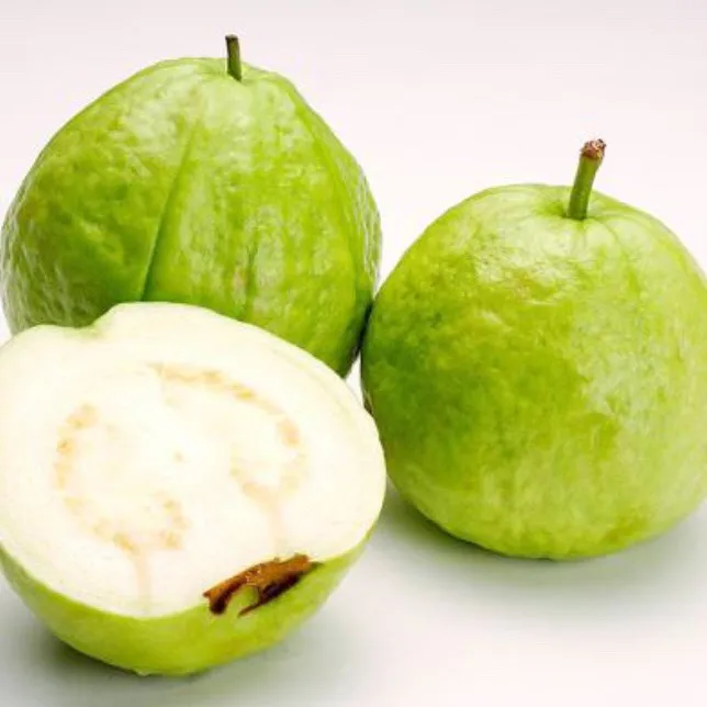 Sweet and Juicy Green Fresh Taiwan Guava Organic Fresh Guava From Vietnam