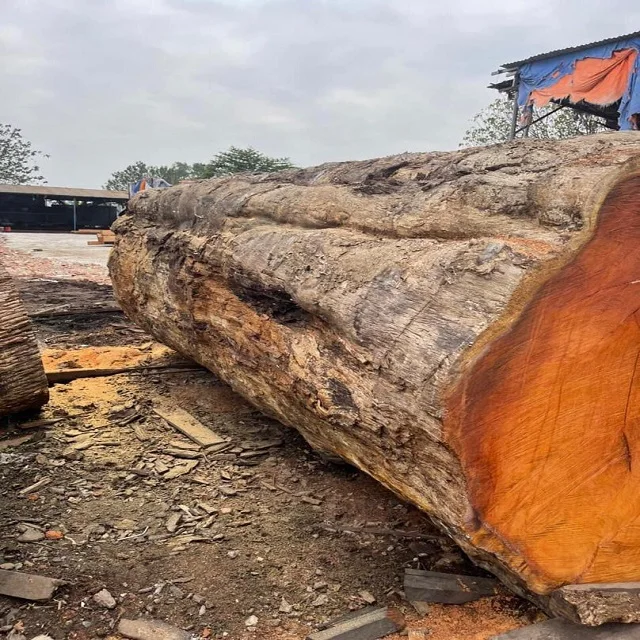 Bubinga Or Kevazingo Wood Square And Round Logs