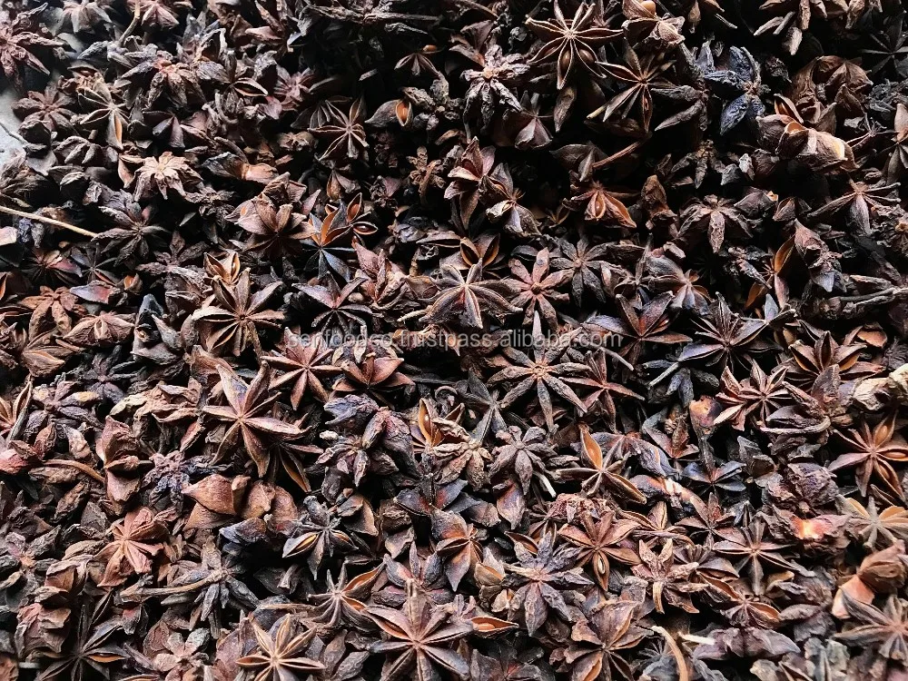 Spices - AUTUMN STAR ANISE FROM VIETNAM Good price