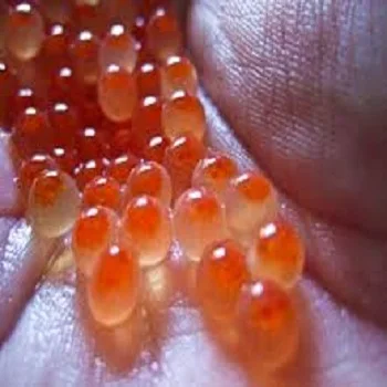 Frozen Fish Roe At Low Price