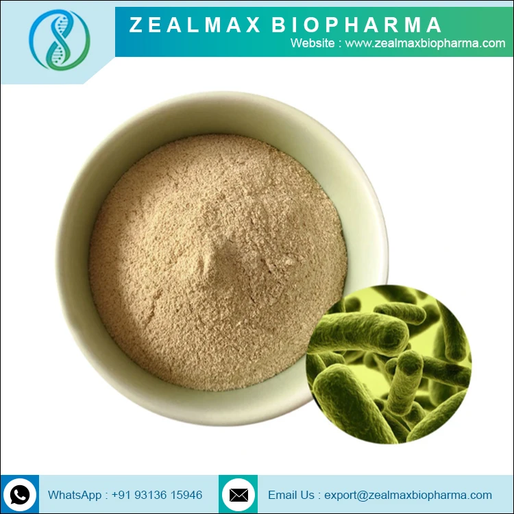 Lactobacillus Plantarum Bulk Probiotics Factory Wholesale Supply Lactobacillus Plantarum Probiotics - Zealmax Biopharma