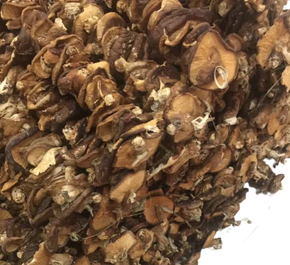  Высококачественные сушеные грибы Shitake органические продукты питания оптовая цена новый урожай