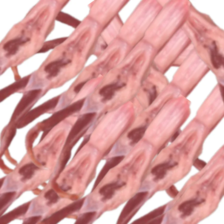 
PIJDUCK pisduck pro in jeonju whole duck hot selling top seller frozen duck tongue spicy duck tongue 