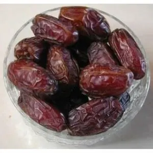 Best Quality Medjool Square Tub Date Palms Fruit