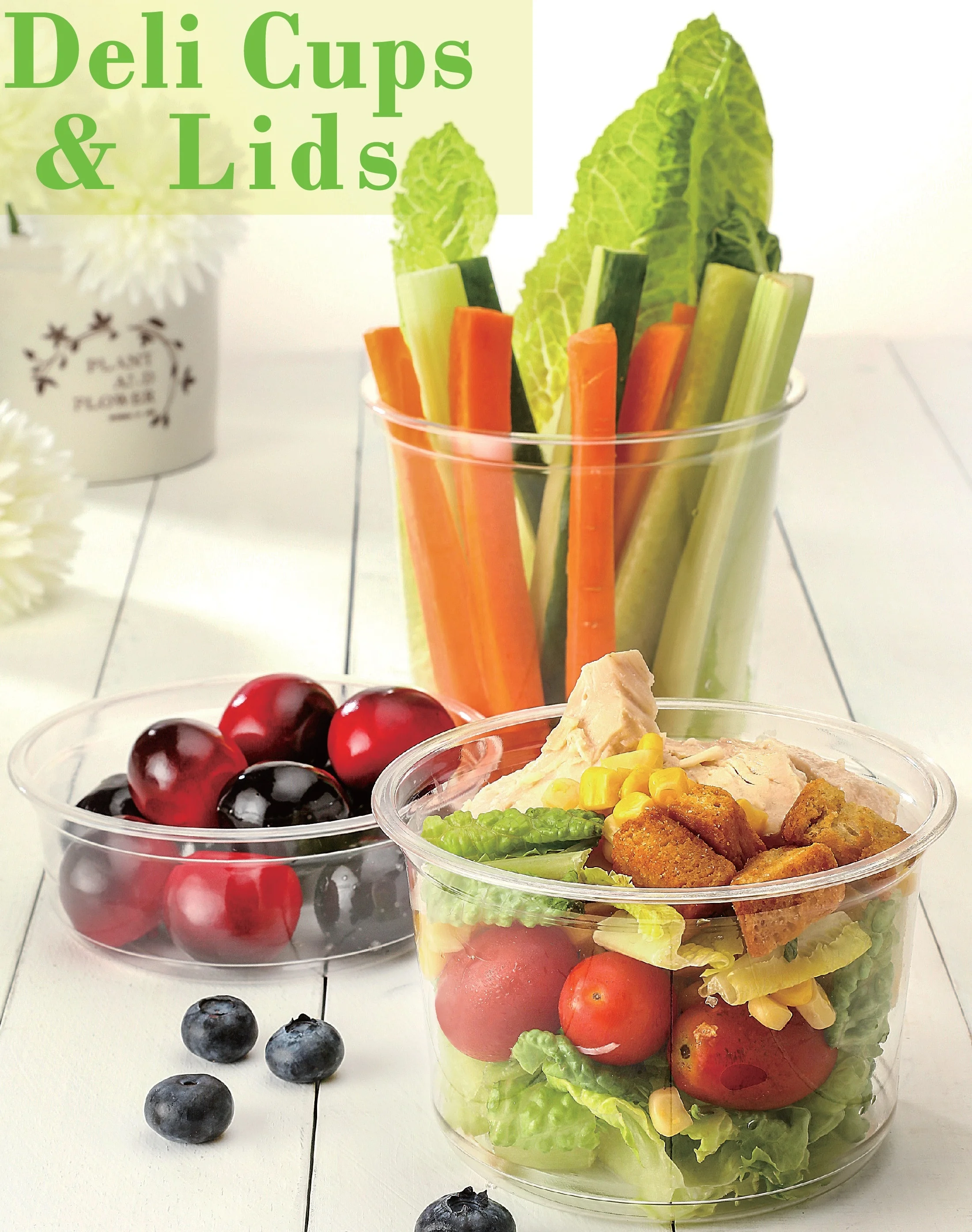 
Fruit food disposable PET deli containers 