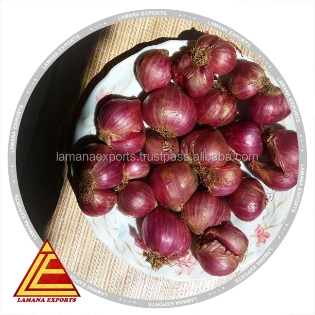 Shallots- Onion Fresh Shallots Podisu Malaysia Non-peeled Common Round Liliaceous Vegetables Liliaceous Vegetabless