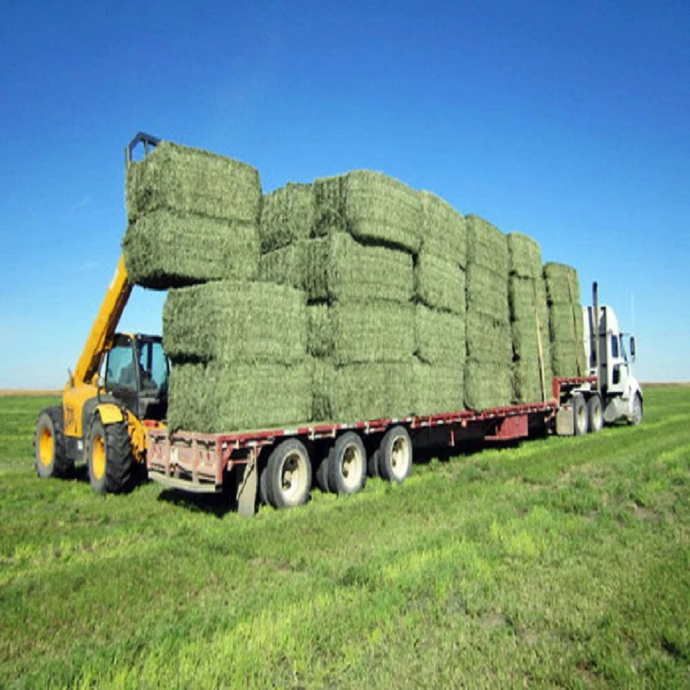 Полезные качественные сенные тюки Alfalfa из Украины