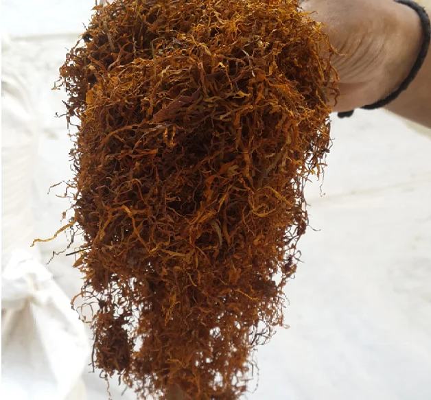 Bulk Wanted distributors worldwide for Herbal Blends Cigars Rich Golden Herbs Herbal Cigar Rolling Herbal RYO Flavored RYO