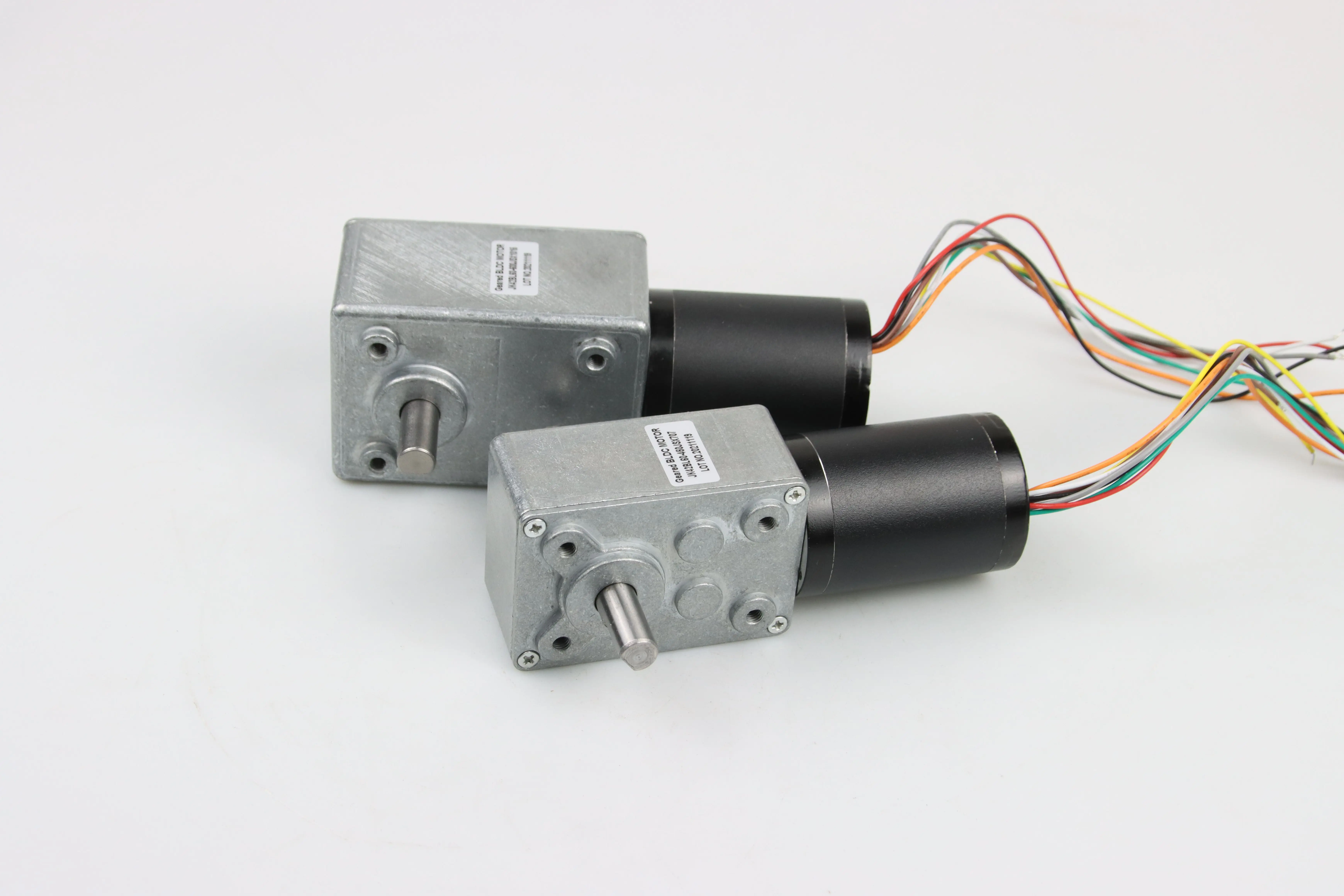 Customized 42mm 8 Poles 24V 3rpm BLDC Motor With Worm Gear for motion applications