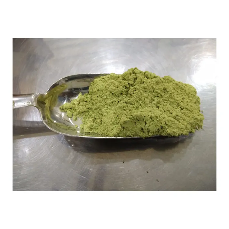 Best Quality Hot Selling 100% Pure and Natural Herbal SIDR Powder for Wholesale Buyers at Factory Price