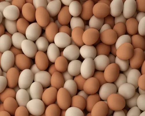 
100% Brown Chicken Table Eggs 