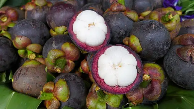 Свежий мангостин из Таиланда
