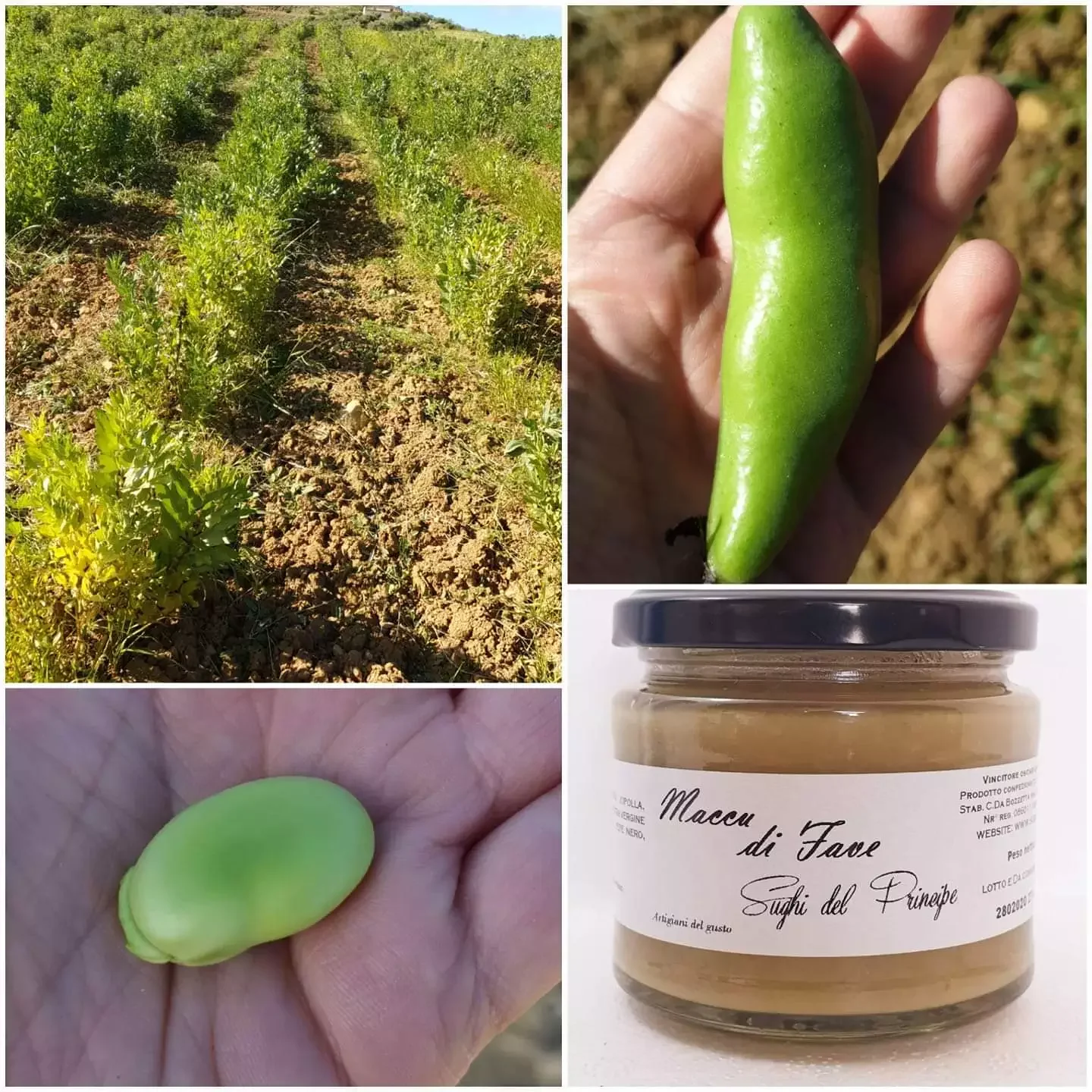 Hot sell Product 2022 Special Jam with Orange and Ginger Traditional Sicilian Recipe Made in Italy