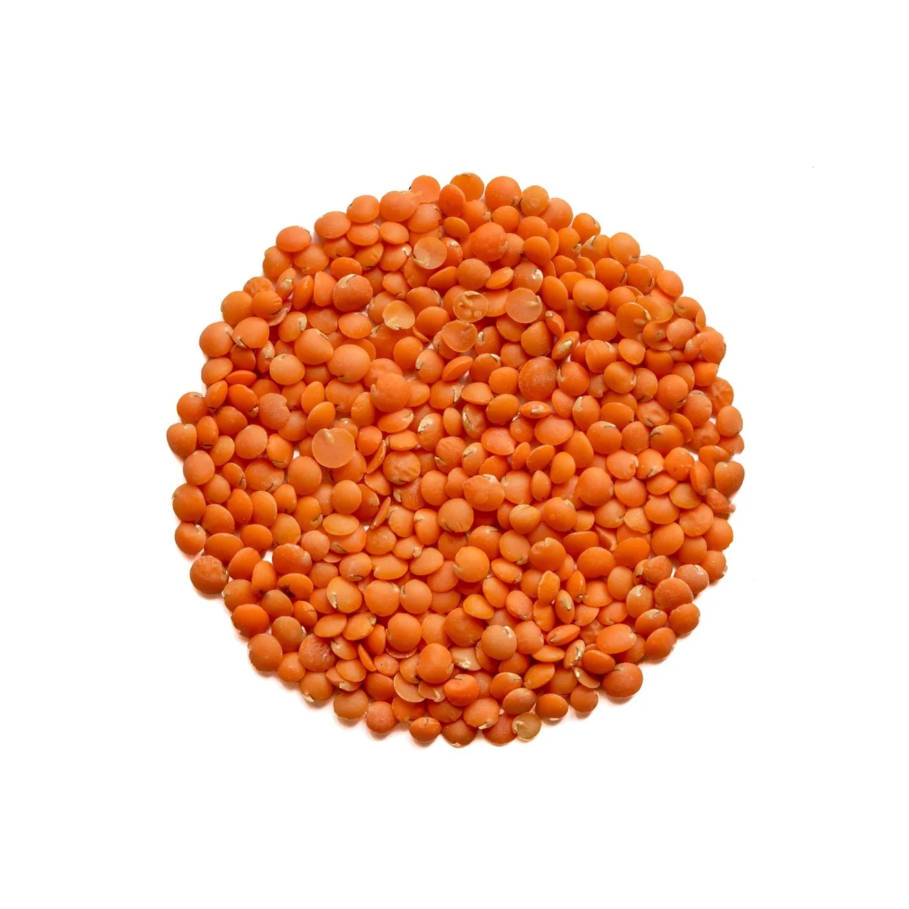 
Trusted Wholesale Supplier Of Red / Green Lentils At Cheap Price 