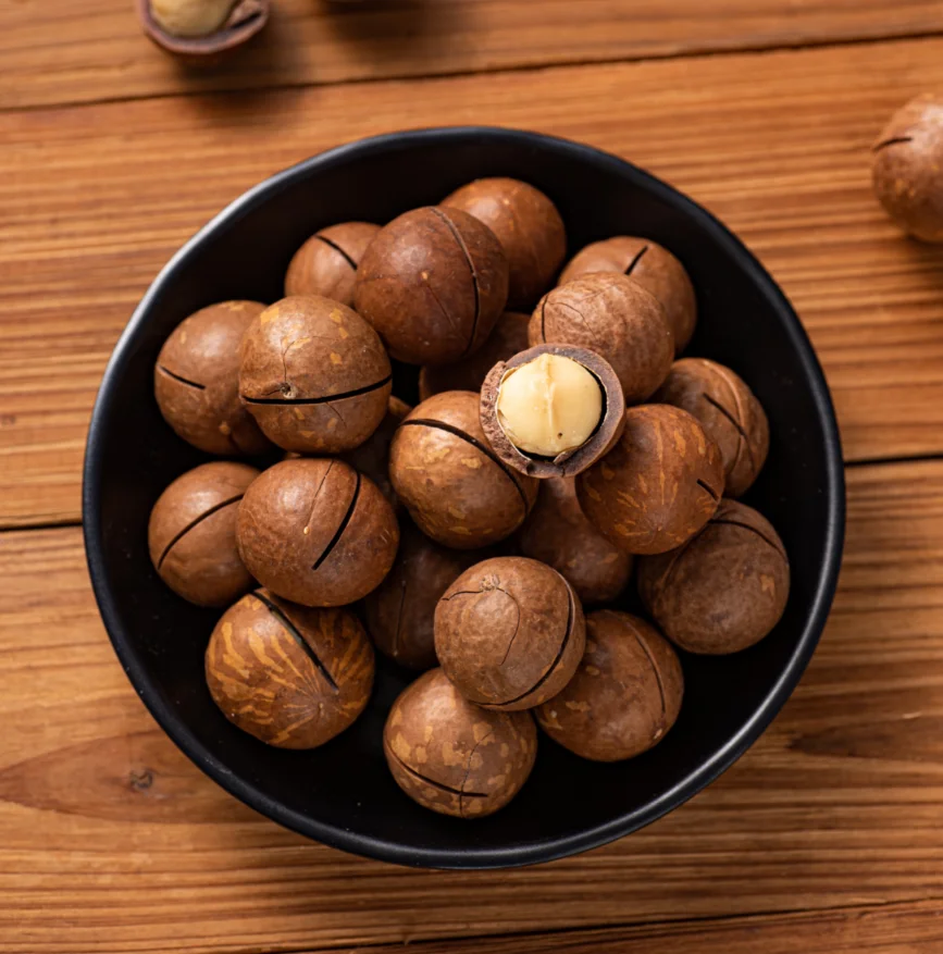 
Macadamia nuts / roasted macadamia / organic macadamia nuts 