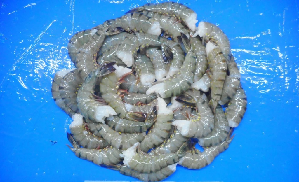 TIGER SHRIMPS BEST PRODUCT EXPORT INDIA