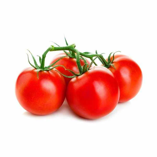 Свежий Овощной пучок томатов высокого качества