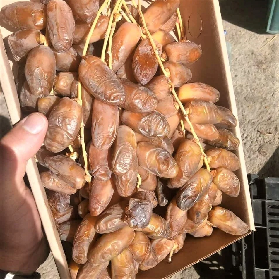 Tunisian Dates/Deglect Noor Dates/Ramadan Dates 2022!